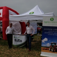 IMG_1653.JPG copy.jpg