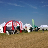 IMG_1658.JPG copy.jpg